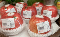 世界一號蘋果為什么這么貴 世界一號蘋果最大有多大