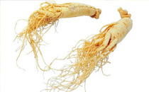 西洋參泡水喝的害處 西洋參不適合哪些人吃