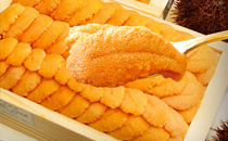 雪蓮果可以和羊肉一起吃嗎 雪蓮果和羊肉一起吃會怎么樣