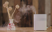 眼藥水可以滴耳朵嗎 哪種眼藥水可以滴耳朵