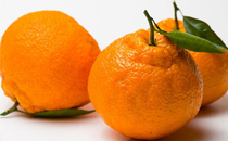 青木瓜適合生吃嗎 青木瓜怎么吃最好