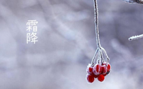 2017霜降會(huì)下雪嗎 2017霜降前后天氣怎么樣