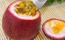 濕熱體質(zhì)可以吃石斛嗎 濕熱體質(zhì)可以吃三七粉嗎