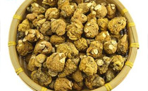 板藍(lán)根祛痘嗎 板藍(lán)根有什么作用