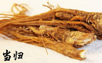 柿蒂是什么 柿蒂的功效與作用