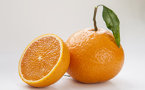 十二月孕婦吃什么蔬菜好 12月份適合孕婦好吃的時(shí)令蔬菜有哪些