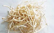 通草的功效與作用 通草的副作用有多少