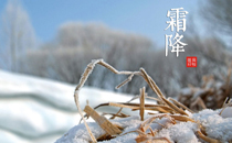 霜降當(dāng)天應(yīng)該吃什么 霜降當(dāng)天的講究和禁忌