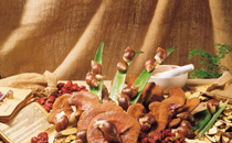 當歸黃芪茶可否長期喝 當歸和黃芪怎么煮水喝比例