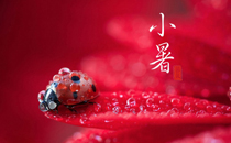 夏天吃什么菜好菜譜 適合夏天吃的家常菜推薦