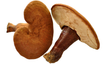 三七粉和靈芝孢子粉能一起吃嗎 三七粉和靈芝孢子粉一起吃有什么好處