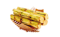 菊芋怎么腌制才好吃 菊芋晶粉的功效與作用