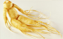 人參和靈芝能一起泡酒嗎 人參和靈芝泡酒的功效