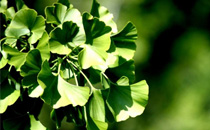 別讓低質(zhì)量的勤奮毀了你 如何遠(yuǎn)離低水平的勤奮