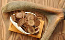 鹿茸是什么鹿的角 鹿茸怎么分辨好壞