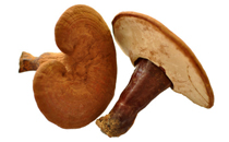 艾灸可以驅(qū)寒嗎 驅(qū)寒艾灸灸哪個(gè)部位和穴位