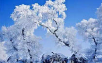 2018年1月6號上班嗎 2018年1月6號星期幾