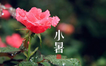 小暑釣魚(yú)用什么餌料好 小暑前后釣魚(yú)技巧