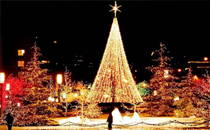 2017圣誕節(jié)可以賣什么東西 2017圣誕節(jié)擺地攤買什么好賣