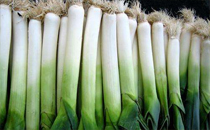 青島海知了可以吃嗎 海知了的吃法和做法介紹