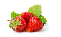 蛋黃酥能用微波爐烤嗎 蛋黃酥可以用微波爐加熱嗎