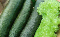 枸杞一天吃幾顆最補(bǔ)腎 吃枸杞補(bǔ)腎多久見效