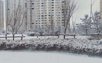 2018年有春嗎 2018是單春還是無春年