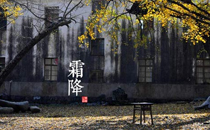 2017霜降會下霜嗎 天氣多少度會下霜