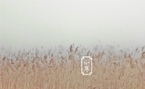 冬天內(nèi)衣多少天換一次 冬天內(nèi)衣怎么清洗