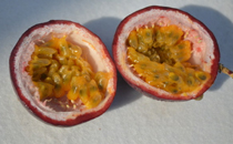 金桔冰糖孕婦可以吃嗎 孕婦吃金桔冰糖有什么好處