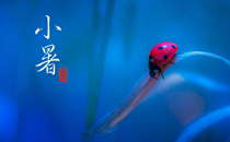 小暑釣魚(yú)什么時(shí)候最好 小暑前后怎么釣魚(yú)