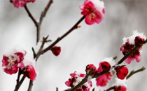 冬天用加濕器好嗎 冬天用加濕器加什么水好