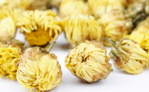 胎菊泡水會影響藥效嗎 胎菊應該怎么吃