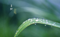 立秋后能吃西瓜嗎 立秋后吃西瓜好嗎