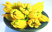 野獸派是什么品牌 the beast野獸派花店是中國(guó)的嗎