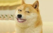 孤獨(dú)比肥胖更要命嗎 如何擺脫孤獨(dú)