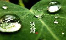 寒露節(jié)氣可以艾灸嗎 寒露艾灸什么穴位好