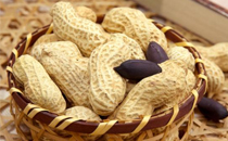 白果能降血壓嗎 白果降血壓有效果嗎