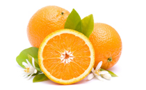 寶寶咳嗽有痰能吃魚嗎 寶寶咳嗽有痰吃魚好不好