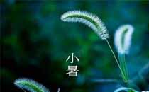 夏天開(kāi)空調(diào)用加濕器好嗎 空調(diào)和加濕器能同時(shí)使用嗎