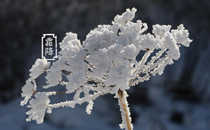 2017霜降會降溫嗎 2017霜降天氣預(yù)報