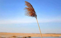 2017立冬天氣特點(diǎn) 2017立冬氣溫會下降多少