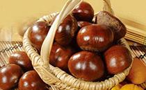 如何同時(shí)給雙胞胎寶寶喂奶 龍鳳胎和雙胞胎的區(qū)別