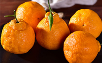 枸杞泡水喝有副作用嗎 枸杞泡水喝的副作用有哪些