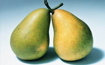 2017年寒露是幾月幾號幾點幾分 2017年寒露后天氣還熱嗎