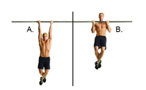 坐姿劃船練什么部位 坐姿劃船動(dòng)作要領(lǐng)及用法圖解