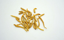 黨參發(fā)霉了還能吃嗎 黨參發(fā)霉了怎么辦