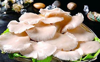 宮寒生的孩子會(huì)怎樣 宮寒喝什么茶好