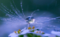 2017寒露后天氣還熱嗎 寒露過(guò)后要穿秋褲嗎