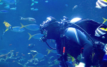 沖浪有危險(xiǎn)嗎 沖浪需要注意的事情有哪些